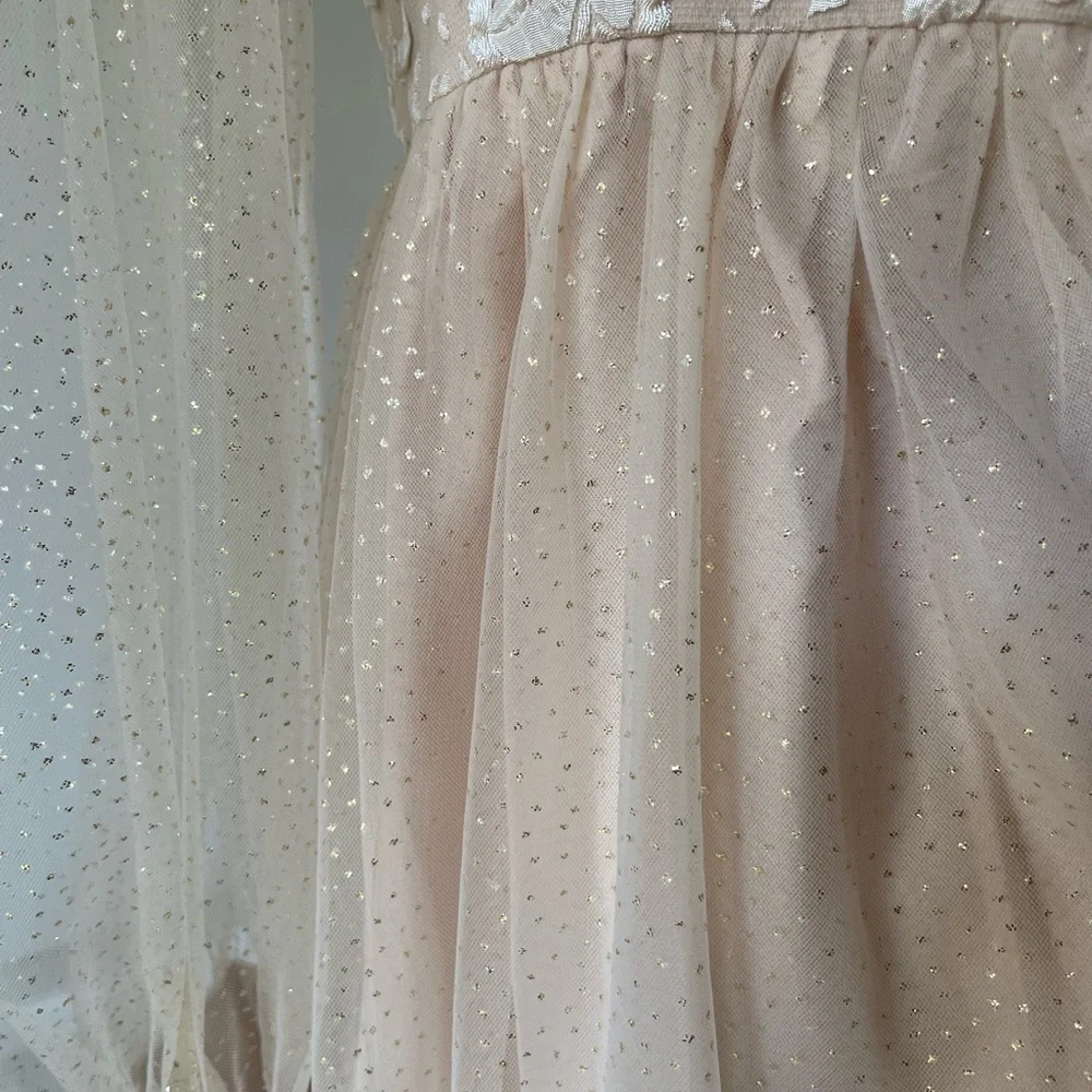 Beautiful Princess style blush color gown with sheer sleeves - Picture 9 of 14